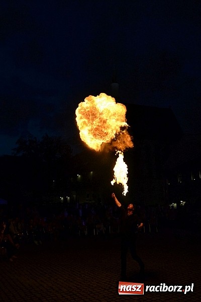 Zdjęcie w galerii na portalu naszraciborz.pl: Święto Subregionu Zachodniego Województwa Śląskiego na Zamku Piastowskim w Raciborzu wiadomości z regionu