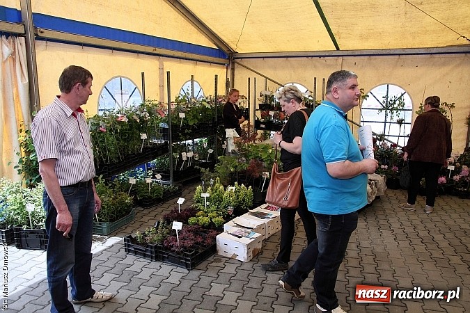 Zdjęcie w galerii na portalu naszraciborz.pl: Eko-Wystawa. Zobacz jak wyglądają stoiska i kto wystąpił na scenie wiadomości z regionu