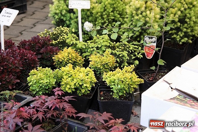 Zdjęcie w galerii na portalu naszraciborz.pl: Eko-Wystawa. Zobacz jak wyglądają stoiska i kto wystąpił na scenie wiadomości z regionu