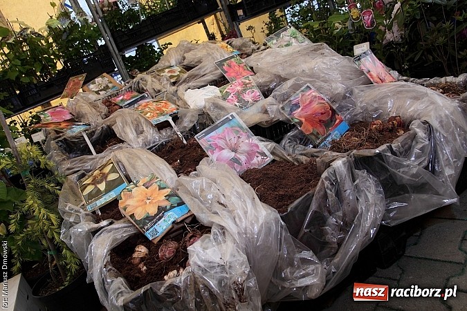 Zdjęcie w galerii na portalu naszraciborz.pl: Eko-Wystawa. Zobacz jak wyglądają stoiska i kto wystąpił na scenie wiadomości z regionu