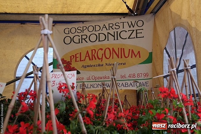 Zdjęcie w galerii na portalu naszraciborz.pl: Eko-Wystawa. Zobacz jak wyglądają stoiska i kto wystąpił na scenie wiadomości z regionu