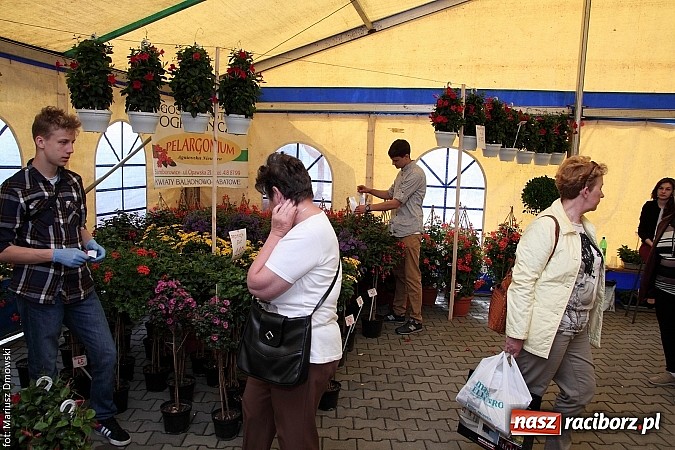 Zdjęcie w galerii na portalu naszraciborz.pl: Eko-Wystawa. Zobacz jak wyglądają stoiska i kto wystąpił na scenie wiadomości z regionu