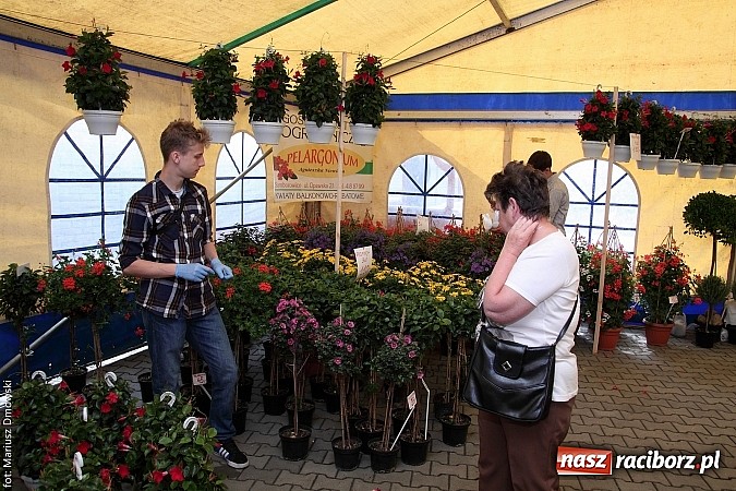 Zdjęcie w galerii na portalu naszraciborz.pl: Eko-Wystawa. Zobacz jak wyglądają stoiska i kto wystąpił na scenie wiadomości z regionu
