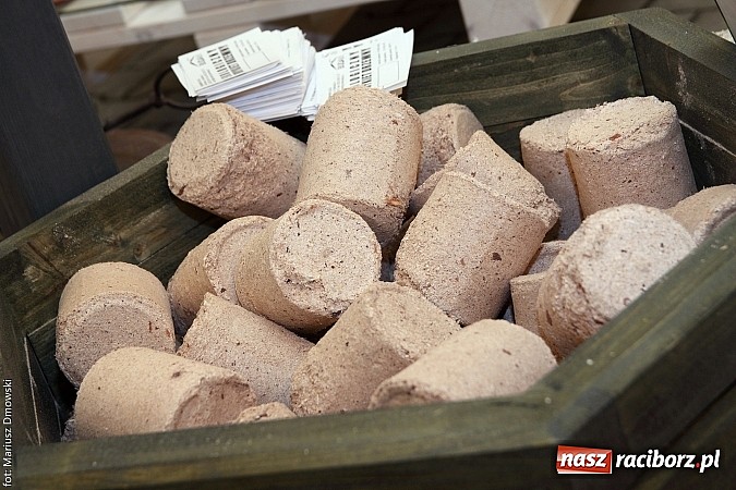 Zdjęcie w galerii na portalu naszraciborz.pl: Eko-Wystawa. Zobacz jak wyglądają stoiska i kto wystąpił na scenie wiadomości z regionu