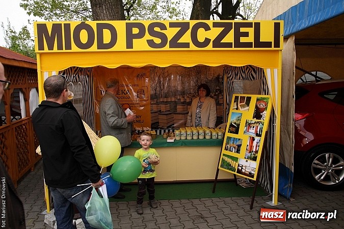 Zdjęcie w galerii na portalu naszraciborz.pl: Eko-Wystawa. Zobacz jak wyglądają stoiska i kto wystąpił na scenie wiadomości z regionu