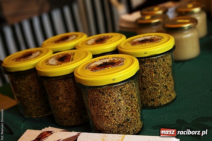 Zdjęcie w galerii na portalu naszraciborz.pl: Eko-Wystawa. Zobacz jak wyglądają stoiska i kto wystąpił na scenie wiadomości z regionu