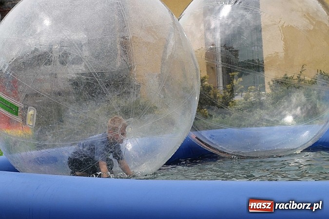 Zdjęcie w galerii na portalu naszraciborz.pl: Eko-Wystawa. Zobacz jak wyglądają stoiska i kto wystąpił na scenie wiadomości z regionu