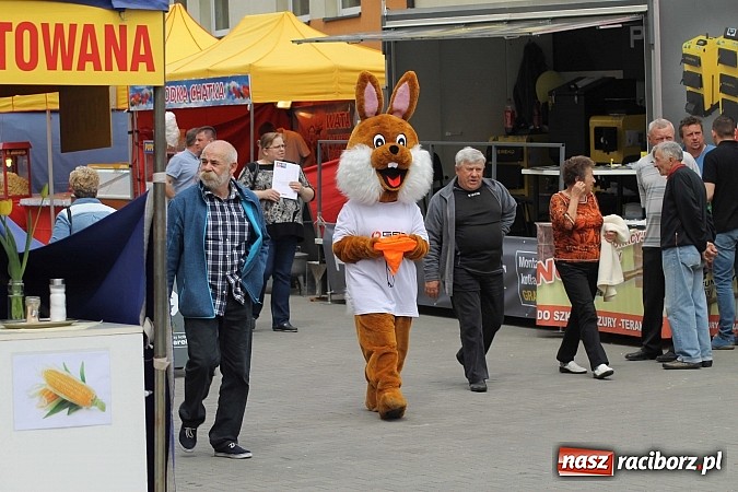 Zdjęcie w galerii na portalu naszraciborz.pl: Eko-Wystawa. Zobacz jak wyglądają stoiska i kto wystąpił na scenie wiadomości z regionu