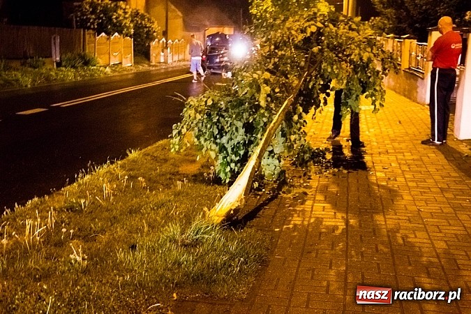 Zdjęcie w galerii na portalu naszraciborz.pl: Rozbity samochód na Hulczyńskiej. Kierowca zbiegł z miejsca zdarzenia! wiadomości z regionu