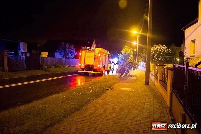 Zdjęcie w galerii na portalu naszraciborz.pl: Rozbity samochód na Hulczyńskiej. Kierowca zbiegł z miejsca zdarzenia! wiadomości z regionu