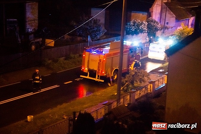 Zdjęcie w galerii na portalu naszraciborz.pl: Rozbity samochód na Hulczyńskiej. Kierowca zbiegł z miejsca zdarzenia! wiadomości z regionu