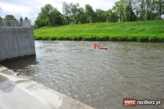 Zdjęcie w galerii na portalu naszraciborz.pl: Sprinty odrzańskie od mostu Zamkowego do kładki - WIDEO wiadomości z regionu