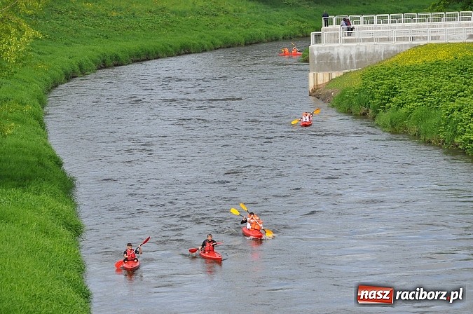 Zdjęcie w galerii na portalu naszraciborz.pl: Sprinty odrzańskie od mostu Zamkowego do kładki - WIDEO wiadomości z regionu