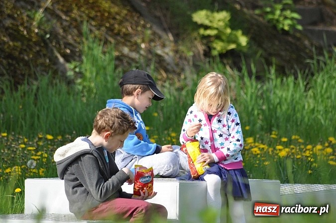 Zdjęcie w galerii na portalu naszraciborz.pl: Sprinty odrzańskie od mostu Zamkowego do kładki - WIDEO wiadomości z regionu