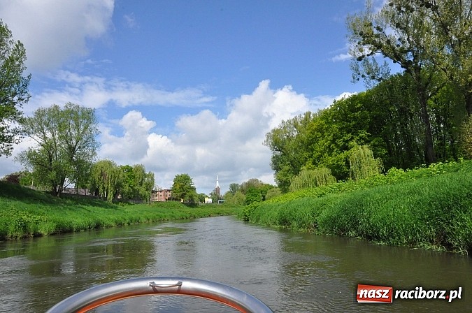 Zdjęcie w galerii na portalu naszraciborz.pl: Sprinty odrzańskie od mostu Zamkowego do kładki - WIDEO wiadomości z regionu