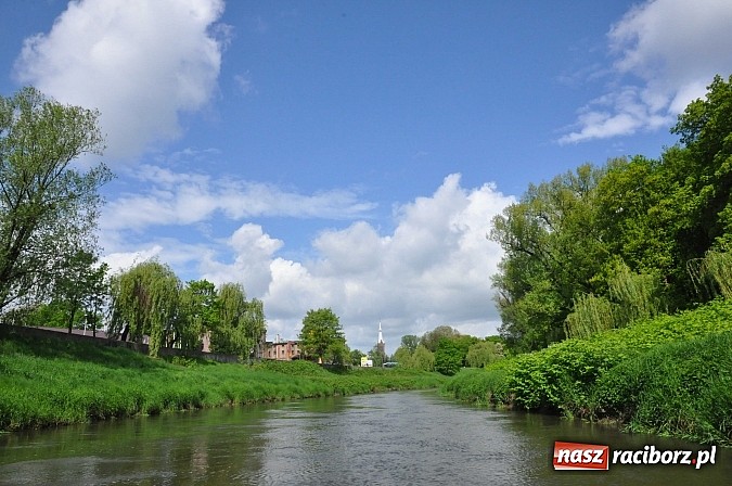 Zdjęcie w galerii na portalu naszraciborz.pl: Sprinty odrzańskie od mostu Zamkowego do kładki - WIDEO wiadomości z regionu