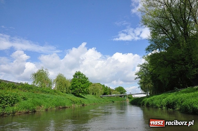 Zdjęcie w galerii na portalu naszraciborz.pl: Sprinty odrzańskie od mostu Zamkowego do kładki - WIDEO wiadomości z regionu