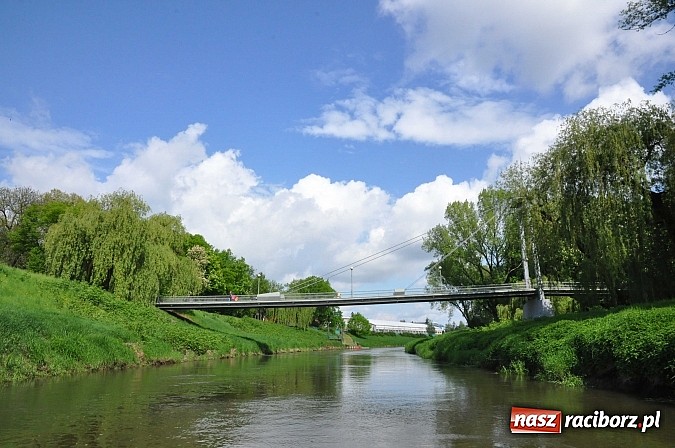 Zdjęcie w galerii na portalu naszraciborz.pl: Sprinty odrzańskie od mostu Zamkowego do kładki - WIDEO wiadomości z regionu
