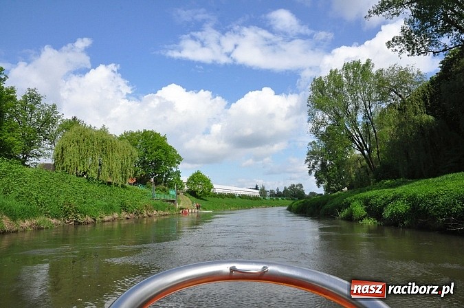 Zdjęcie w galerii na portalu naszraciborz.pl: Sprinty odrzańskie od mostu Zamkowego do kładki - WIDEO wiadomości z regionu