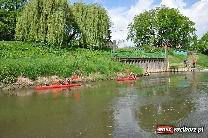 Zdjęcie w galerii na portalu naszraciborz.pl: Sprinty odrzańskie od mostu Zamkowego do kładki - WIDEO wiadomości z regionu