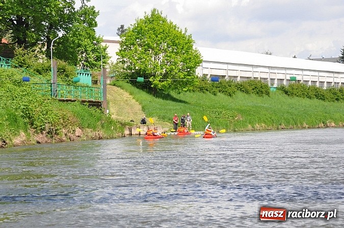 Zdjęcie w galerii na portalu naszraciborz.pl: Sprinty odrzańskie od mostu Zamkowego do kładki - WIDEO wiadomości z regionu