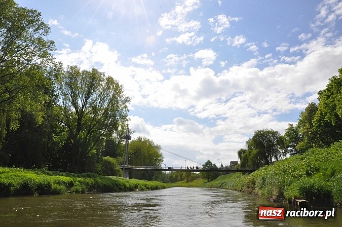 Zdjęcie w galerii na portalu naszraciborz.pl: Sprinty odrzańskie od mostu Zamkowego do kładki - WIDEO wiadomości z regionu