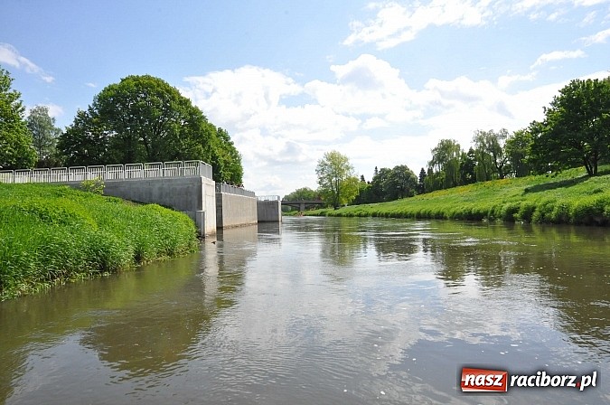 Zdjęcie w galerii na portalu naszraciborz.pl: Sprinty odrzańskie od mostu Zamkowego do kładki - WIDEO wiadomości z regionu