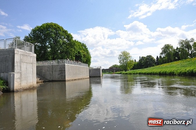 Zdjęcie w galerii na portalu naszraciborz.pl: Sprinty odrzańskie od mostu Zamkowego do kładki - WIDEO wiadomości z regionu