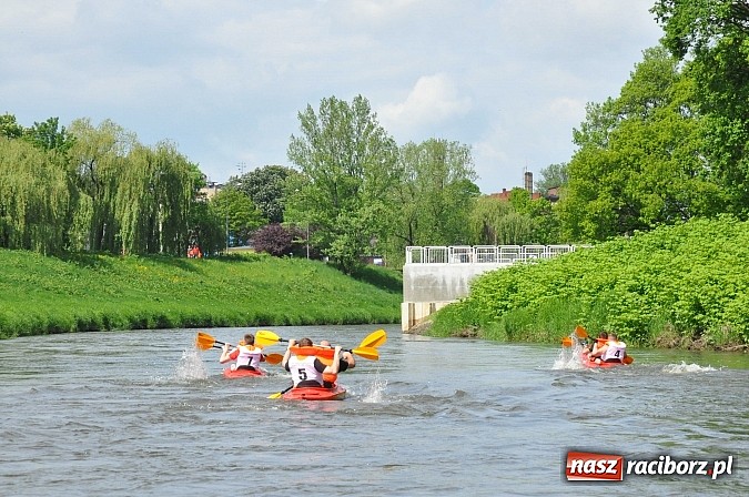 Zdjęcie w galerii na portalu naszraciborz.pl: Sprinty odrzańskie od mostu Zamkowego do kładki - WIDEO wiadomości z regionu