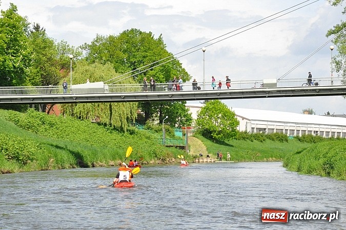 Zdjęcie w galerii na portalu naszraciborz.pl: Sprinty odrzańskie od mostu Zamkowego do kładki - WIDEO wiadomości z regionu