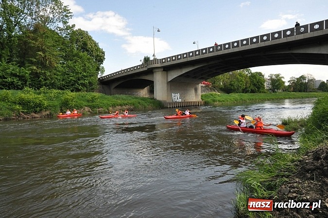 Zdjęcie w galerii na portalu naszraciborz.pl: Sprinty odrzańskie od mostu Zamkowego do kładki - WIDEO wiadomości z regionu