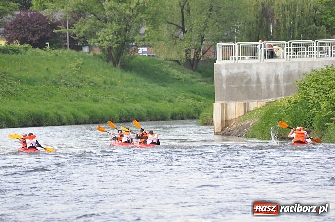 Zdjęcie w galerii na portalu naszraciborz.pl: Sprinty odrzańskie od mostu Zamkowego do kładki - WIDEO wiadomości z regionu