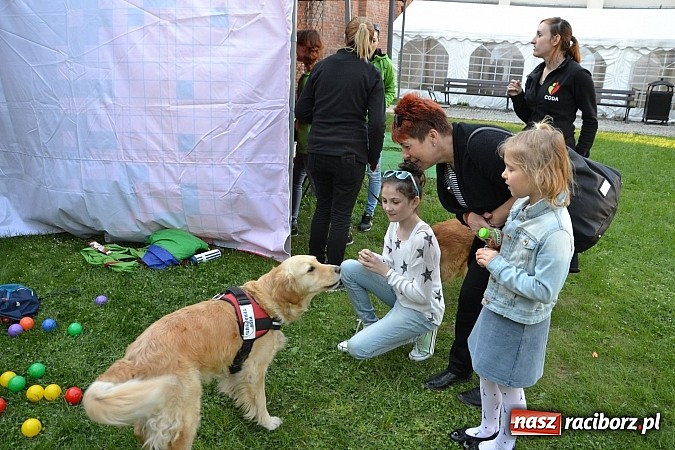 Zdjęcie w galerii na portalu naszraciborz.pl: Pozytywna energia ekonomii społecznej na zamku wiadomości z regionu