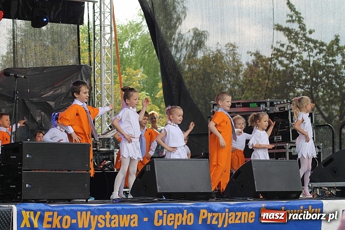 Zdjęcie w galerii na portalu naszraciborz.pl: Eko-Wystawa w Pietrowicach Wielkich - dzień drugi wiadomości z regionu