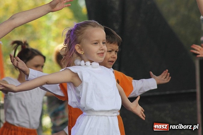 Zdjęcie w galerii na portalu naszraciborz.pl: Eko-Wystawa w Pietrowicach Wielkich - dzień drugi wiadomości z regionu