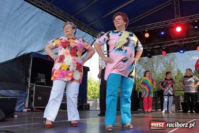 Zdjęcie w galerii na portalu naszraciborz.pl: Eko-Wystawa w Pietrowicach Wielkich - dzień drugi wiadomości z regionu