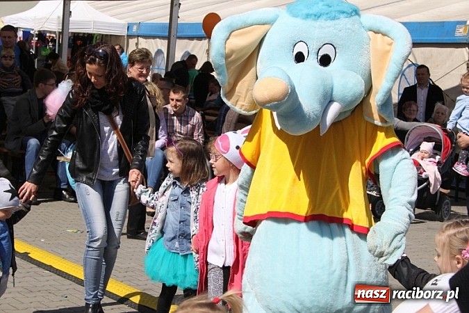 Zdjęcie w galerii na portalu naszraciborz.pl: Eko-Wystawa w Pietrowicach Wielkich - dzień drugi wiadomości z regionu