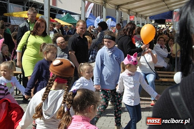 Zdjęcie w galerii na portalu naszraciborz.pl: Eko-Wystawa w Pietrowicach Wielkich - dzień drugi wiadomości z regionu