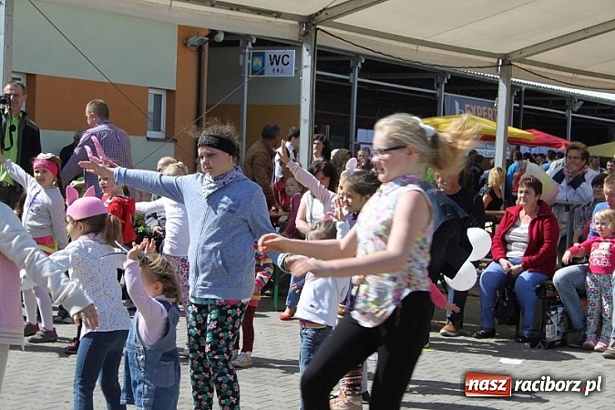 Zdjęcie w galerii na portalu naszraciborz.pl: Eko-Wystawa w Pietrowicach Wielkich - dzień drugi wiadomości z regionu
