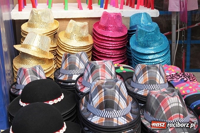 Zdjęcie w galerii na portalu naszraciborz.pl: Eko-Wystawa w Pietrowicach Wielkich - dzień drugi wiadomości z regionu