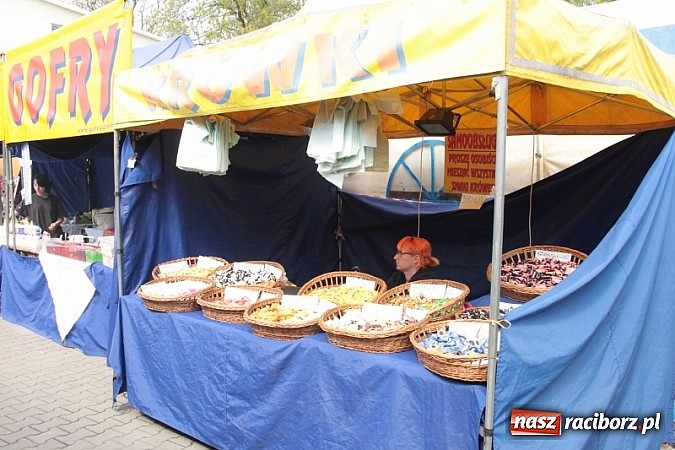 Zdjęcie w galerii na portalu naszraciborz.pl: Eko-Wystawa w Pietrowicach Wielkich - dzień drugi wiadomości z regionu