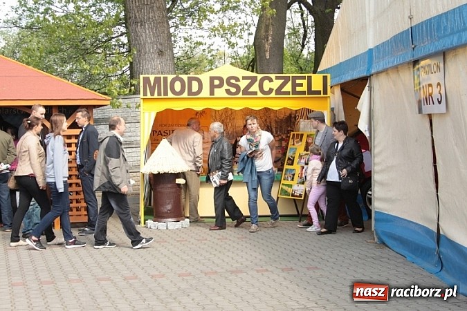 Zdjęcie w galerii na portalu naszraciborz.pl: Eko-Wystawa w Pietrowicach Wielkich - dzień drugi wiadomości z regionu