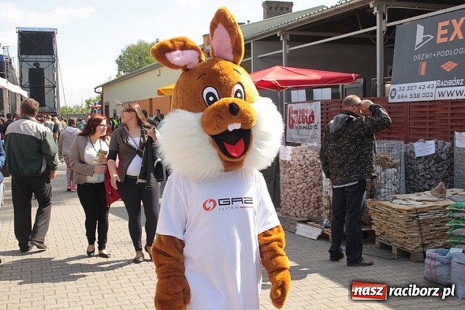 Zdjęcie w galerii na portalu naszraciborz.pl: Eko-Wystawa w Pietrowicach Wielkich - dzień drugi wiadomości z regionu