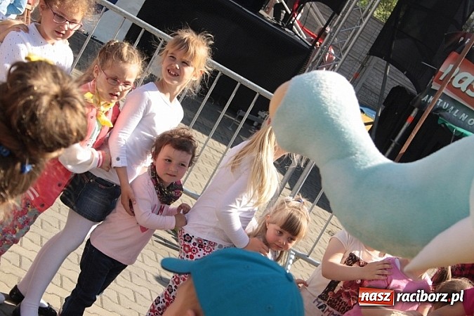 Zdjęcie w galerii na portalu naszraciborz.pl: Eko-Wystawa w Pietrowicach Wielkich - dzień drugi wiadomości z regionu