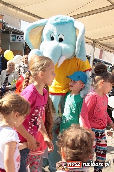 Zdjęcie w galerii na portalu naszraciborz.pl: Eko-Wystawa w Pietrowicach Wielkich - dzień drugi wiadomości z regionu