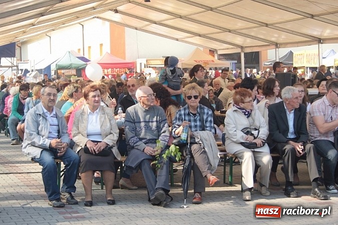 Zdjęcie w galerii na portalu naszraciborz.pl: Eko-Wystawa w Pietrowicach Wielkich - dzień drugi wiadomości z regionu