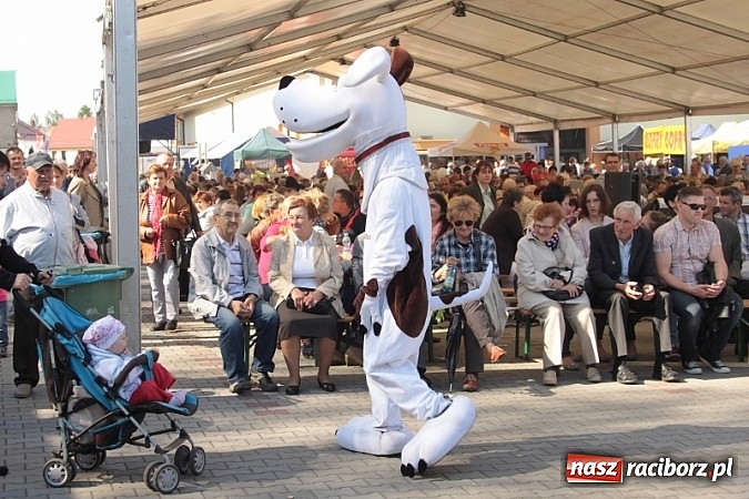 Zdjęcie w galerii na portalu naszraciborz.pl: Eko-Wystawa w Pietrowicach Wielkich - dzień drugi wiadomości z regionu