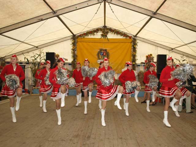 Zdjęcie w galerii na portalu naszraciborz.pl: Wielkie show w Roszkowie wiadomości z regionu