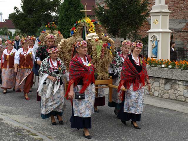 Zdjęcie w galerii na portalu naszraciborz.pl: Wielkie show w Roszkowie wiadomości z regionu