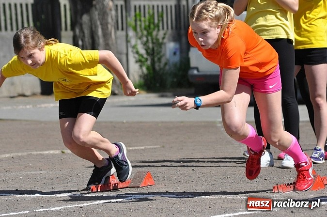 Zdjęcie w galerii na portalu naszraciborz.pl: Lekkoatleci z gimnazjów walczą o medale na stadionie PWSZ  wiadomości z regionu